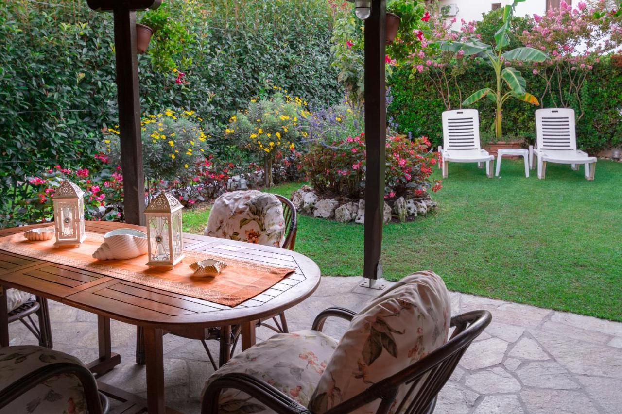 Vakantiehuis Begonia By The Sea